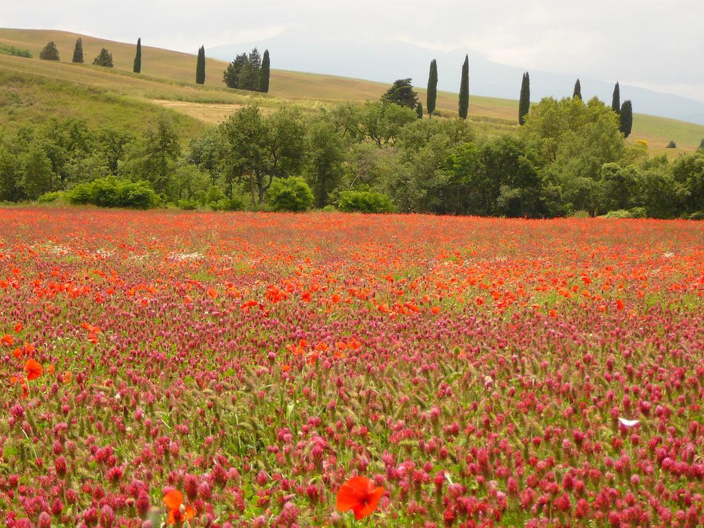 Agriturismo Casalpiano Pienza Exteriér fotografie