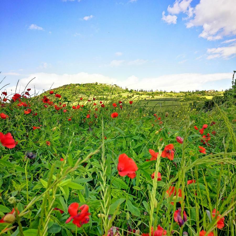 Agriturismo Casalpiano Pienza Exteriér fotografie
