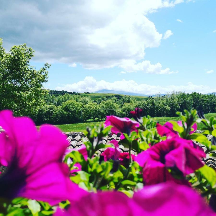 Agriturismo Casalpiano Pienza Exteriér fotografie
